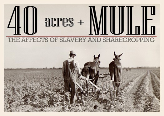 40 acres and a mule, Black History, Black History 365, Reparations, freedmen, reconstruction, abolition movement, Buy Black Movement
